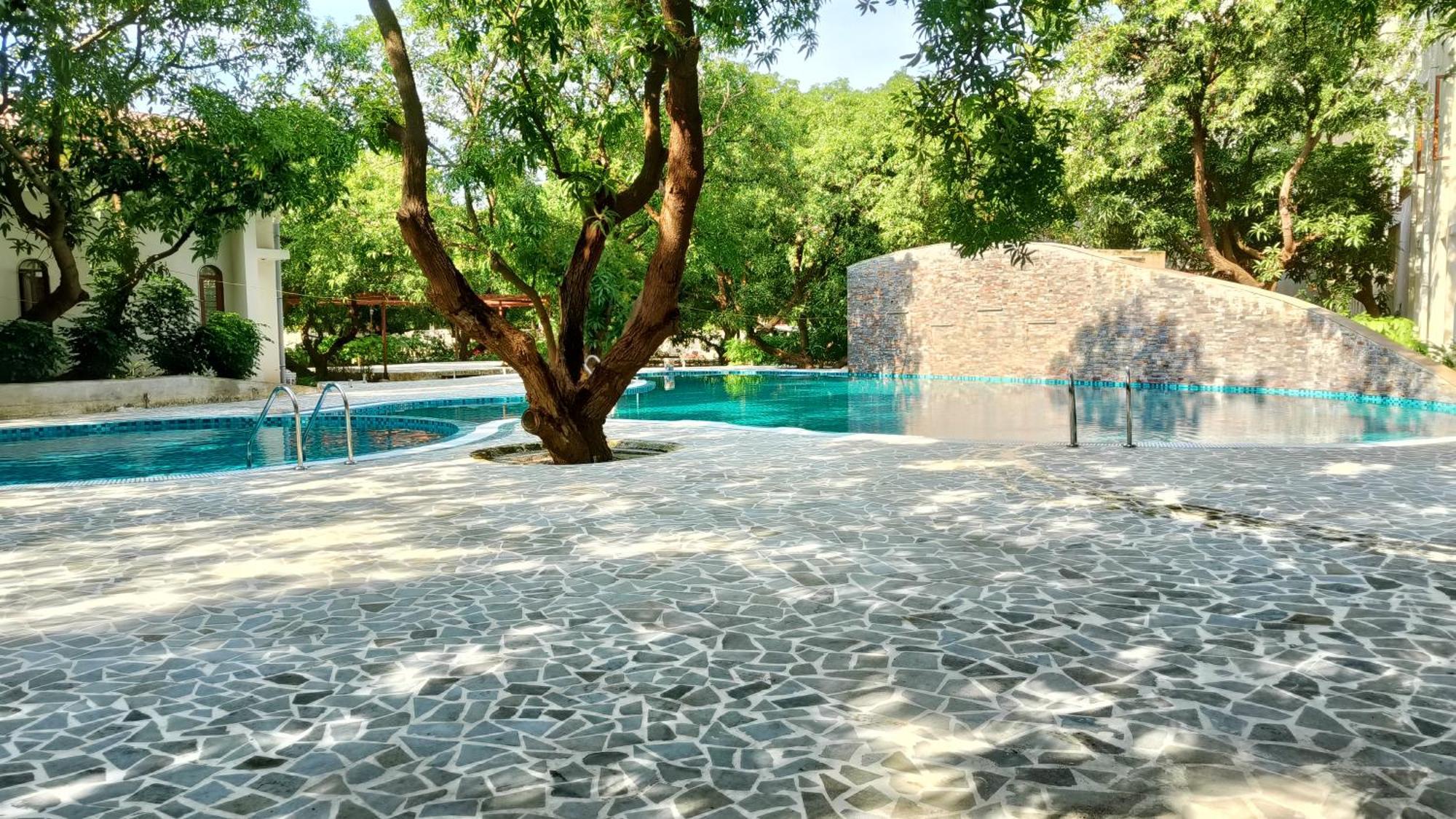 Le Casa Lion Resort A Premium Resort In Гирский лес Экстерьер фото